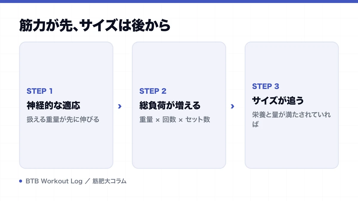 筋力が先、サイズは後からを示す図解