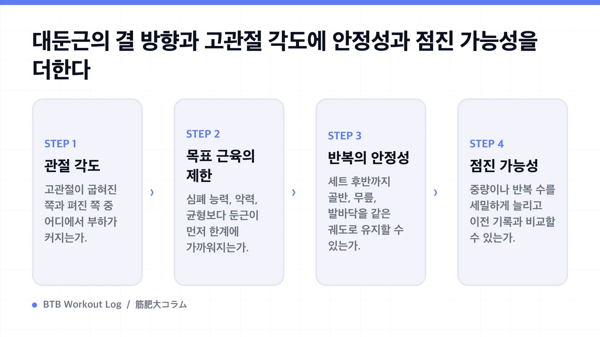 Diagram: 대둔근의 결 방향과 고관절 각도에 안정성과 점진 가능성을 더한다