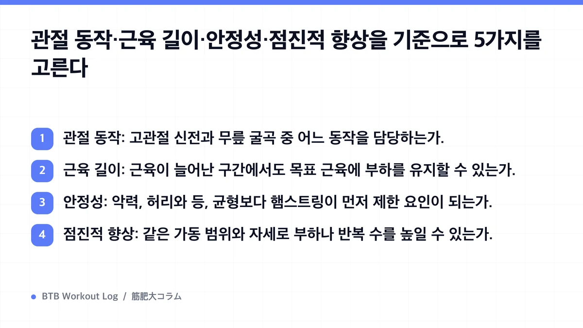 Diagram: 관절 동작·근육 길이·안정성·점진적 향상을 기준으로 5가지를 고른다
