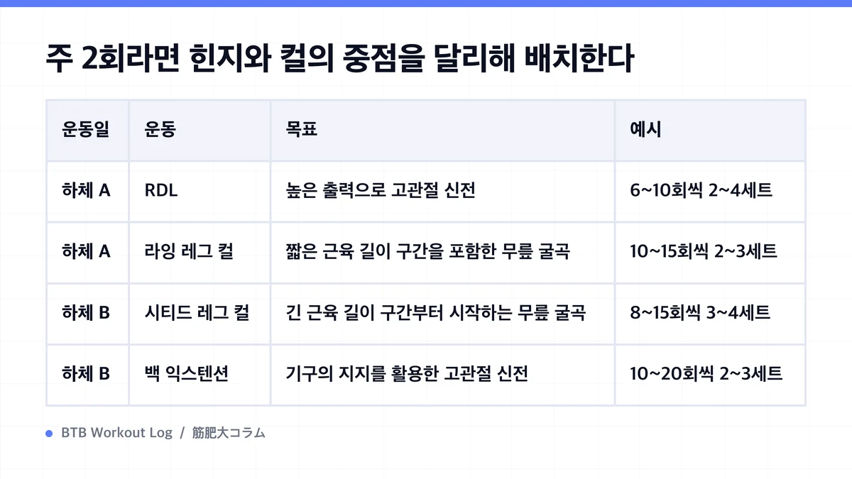 Diagram: 주 2회라면 힌지와 컬의 중점을 달리해 배치한다