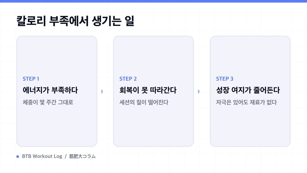 Diagram: 칼로리 부족에서 생기는 일