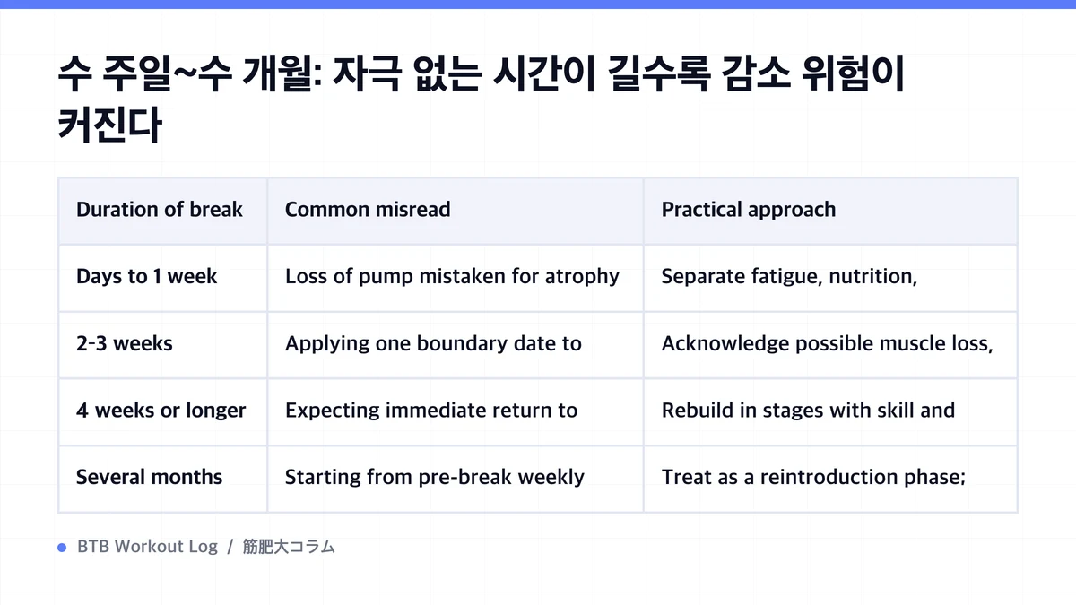 Diagram: 수 주일~수 개월: 자극 없는 시간이 길수록 감소 위험이 커진다