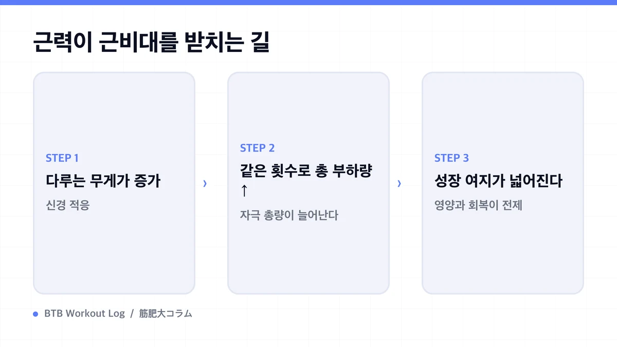 Diagram: 근력이 근비대를 받치는 길