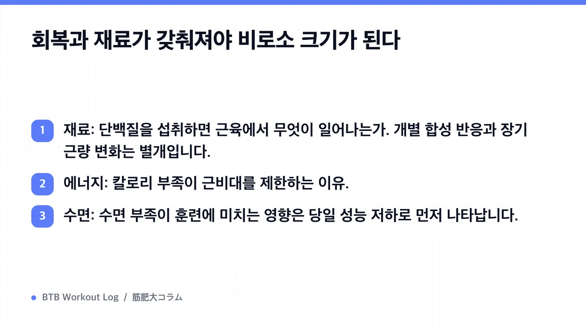 Diagram: 회복과 재료가 갖춰져야 비로소 크기가 된다