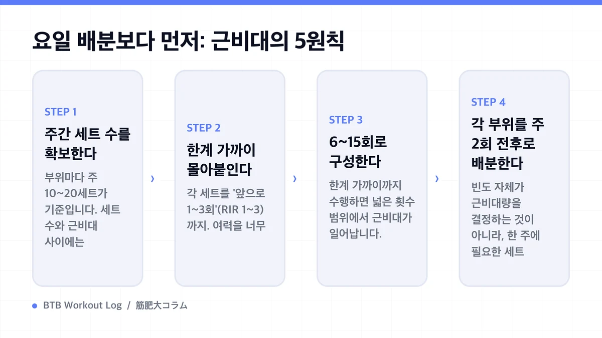 Diagram: 요일 배분보다 먼저: 근비대의 5원칙