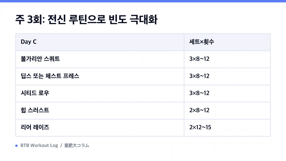 Diagram: 주 3회: 전신 루틴으로 빈도 극대화