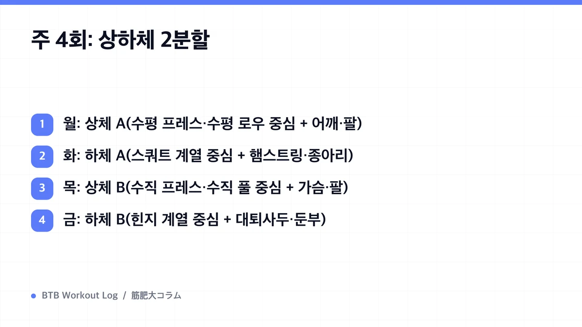 Diagram: 주 4회: 상하체 2분할