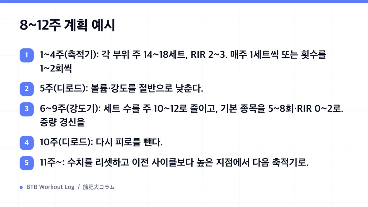 Diagram: 8~12주 계획 예시