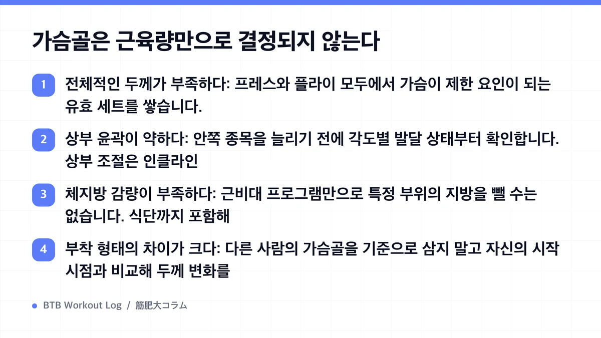 Diagram: 가슴골은 근육량만으로 결정되지 않는다