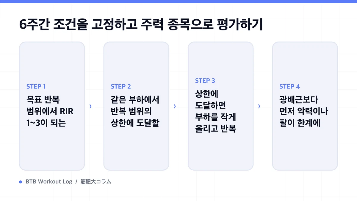 Diagram: 6주간 조건을 고정하고 주력 종목으로 평가하기