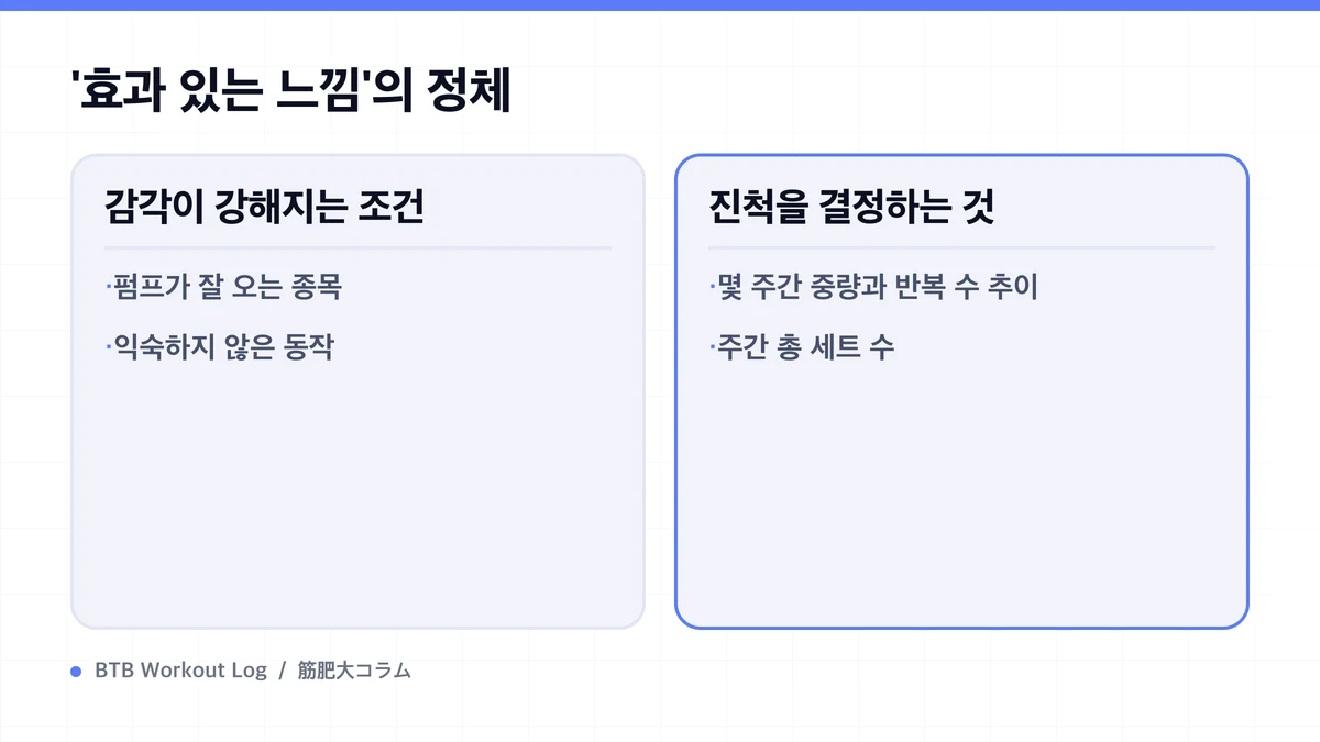Diagram: '효과 있는 느낌'의 정체