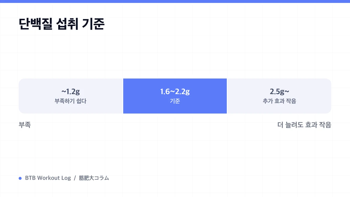 Diagram: 단백질 섭취 기준