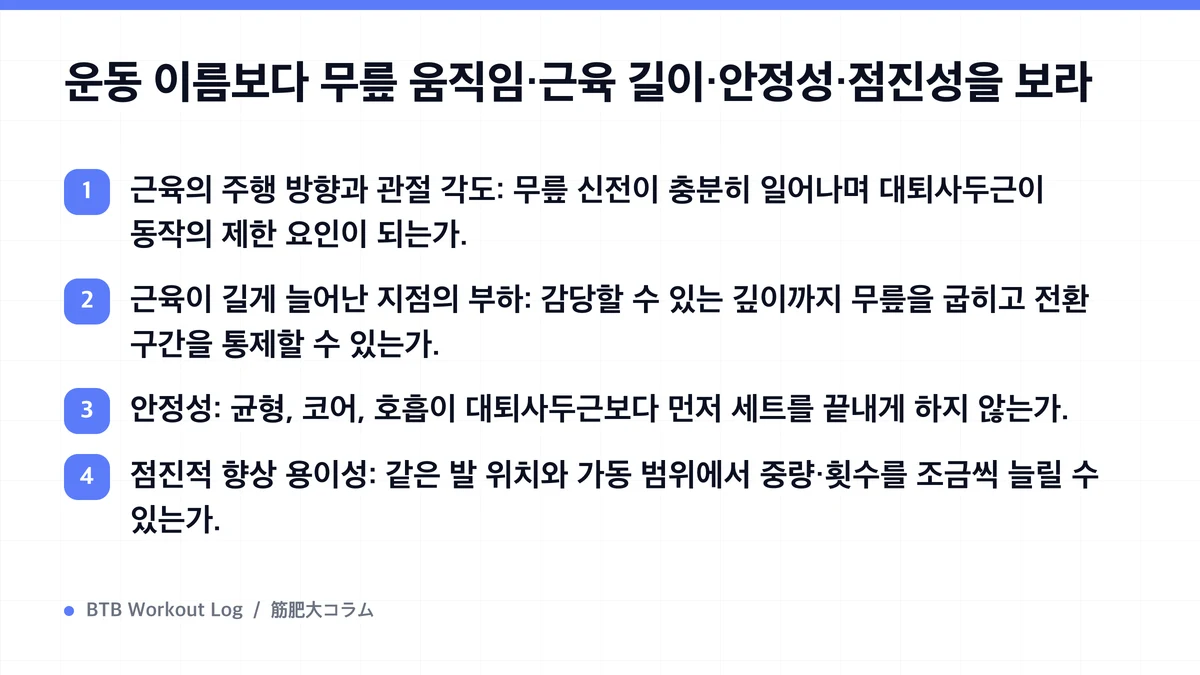 Diagram: 운동 이름보다 무릎 움직임·근육 길이·안정성·점진성을 보라