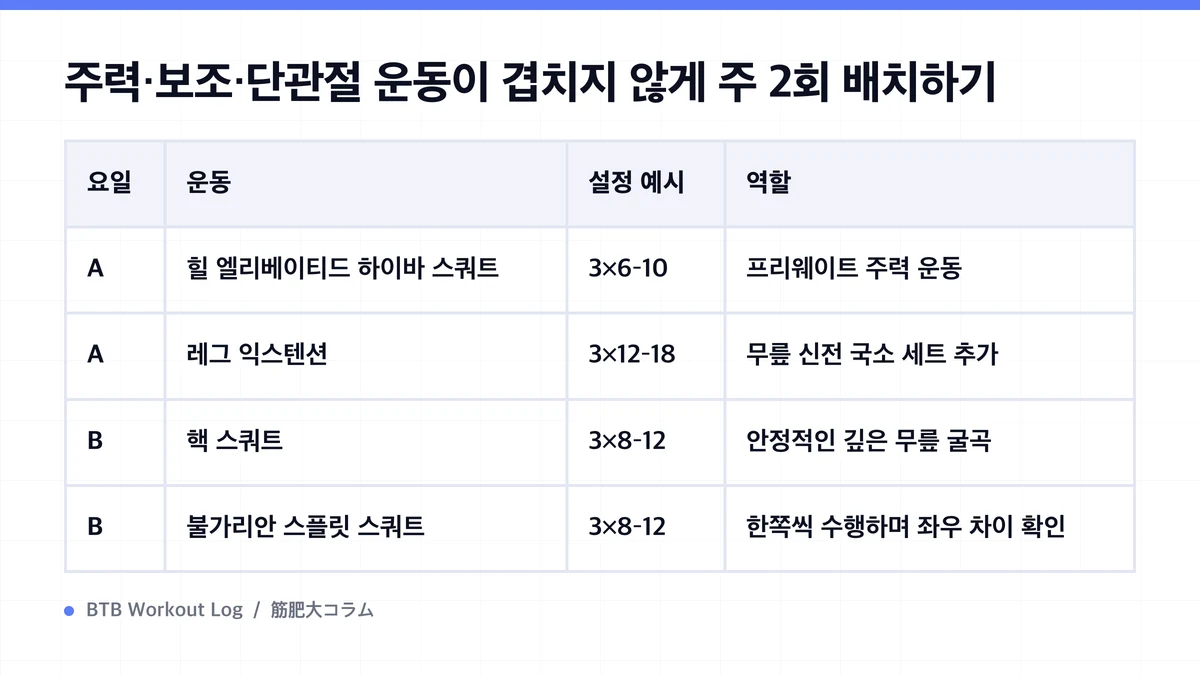 Diagram: 주력·보조·단관절 운동이 겹치지 않게 주 2회 배치하기