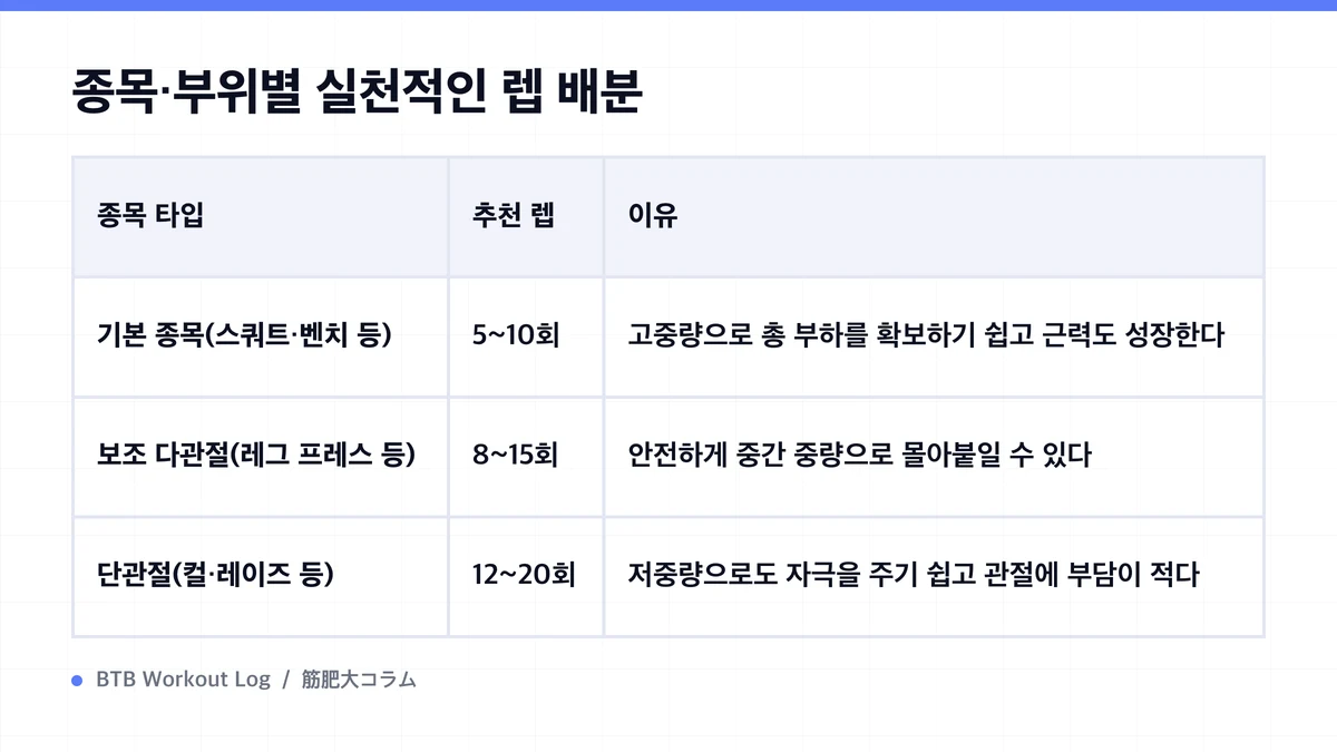 Diagram: 종목·부위별 실천적인 렙 배분