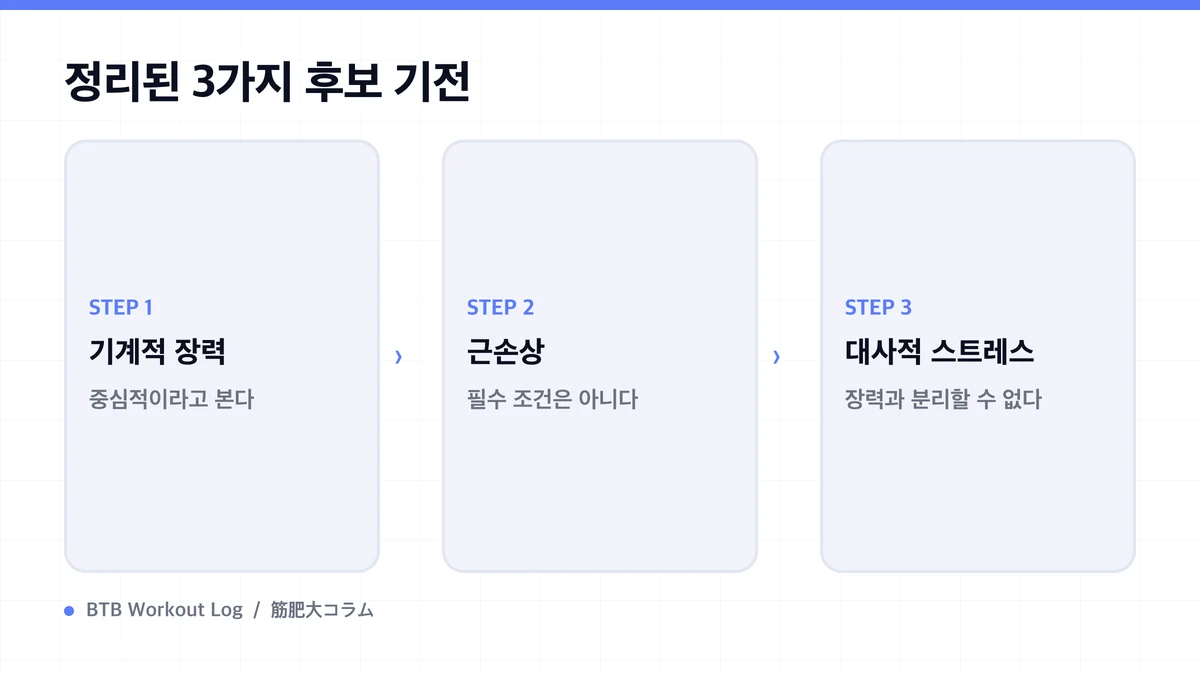 Diagram: 정리된 3가지 후보 기전