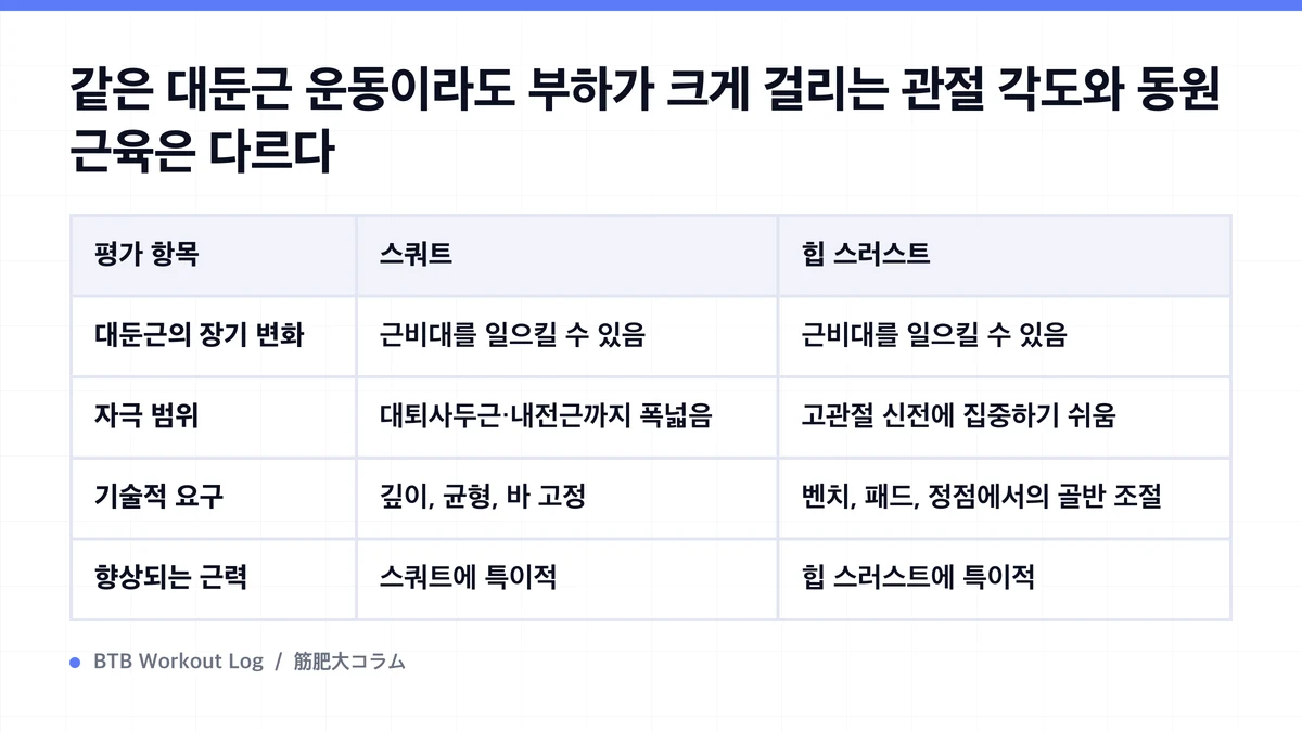 Diagram: 같은 대둔근 운동이라도 부하가 크게 걸리는 관절 각도와 동원 근육은 다르다
