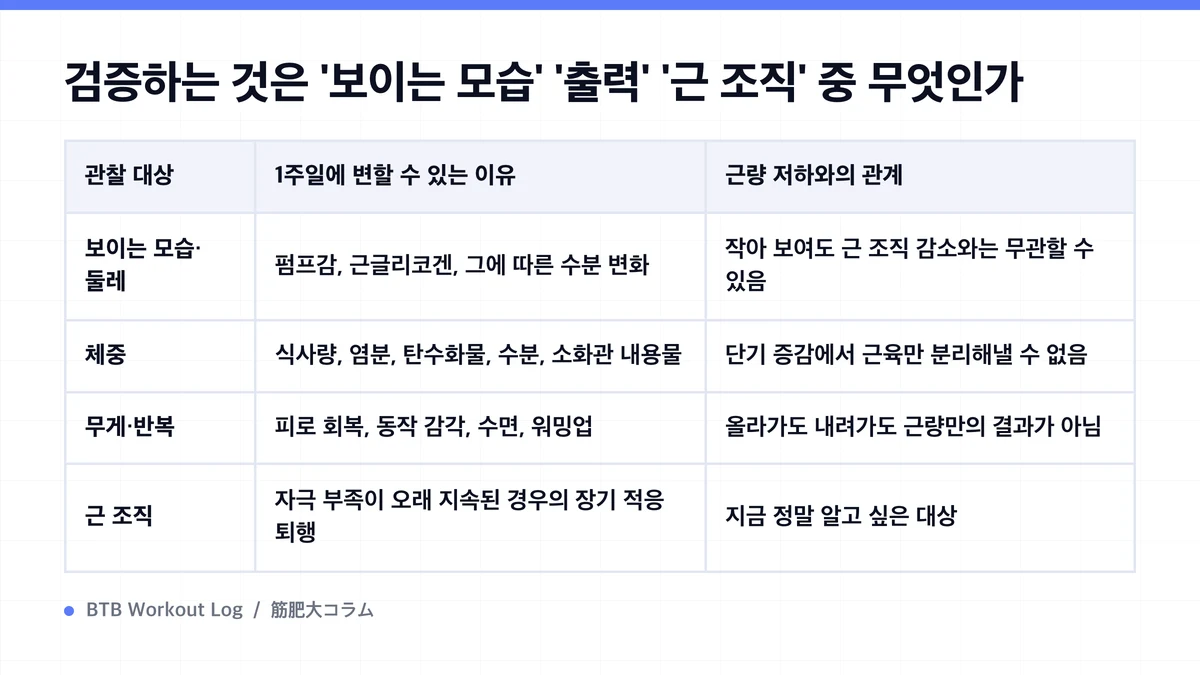 Diagram: 검증하는 것은 '보이는 모습' '출력' '근 조직' 중 무엇인가