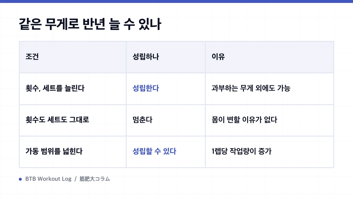 Diagram: 같은 무게로 반년 늘 수 있나