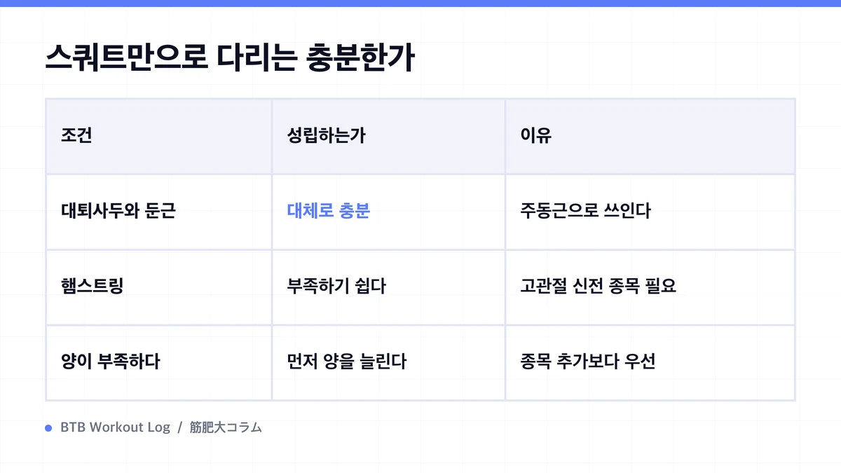Diagram: 스쿼트만으로 다리는 충분한가