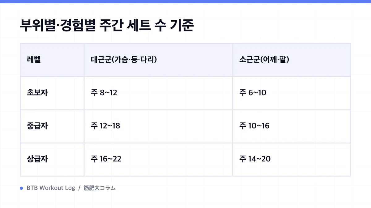 Diagram: 부위별·경험별 주간 세트 수 기준