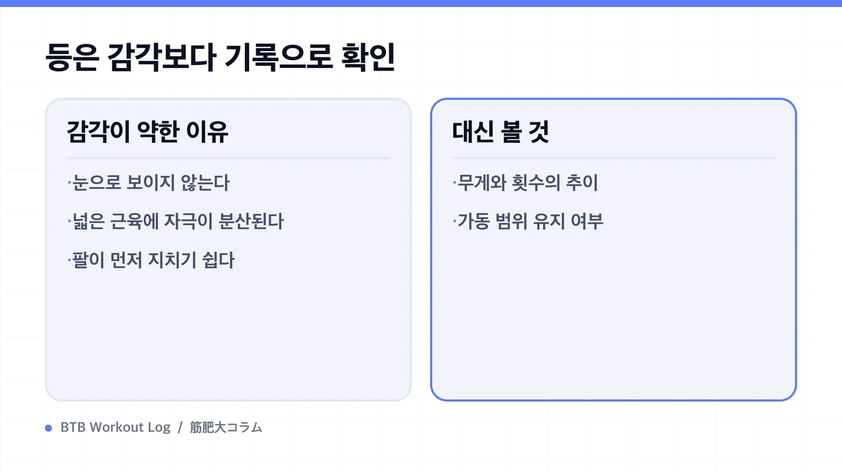 Diagram: 등은 감각보다 기록으로 확인