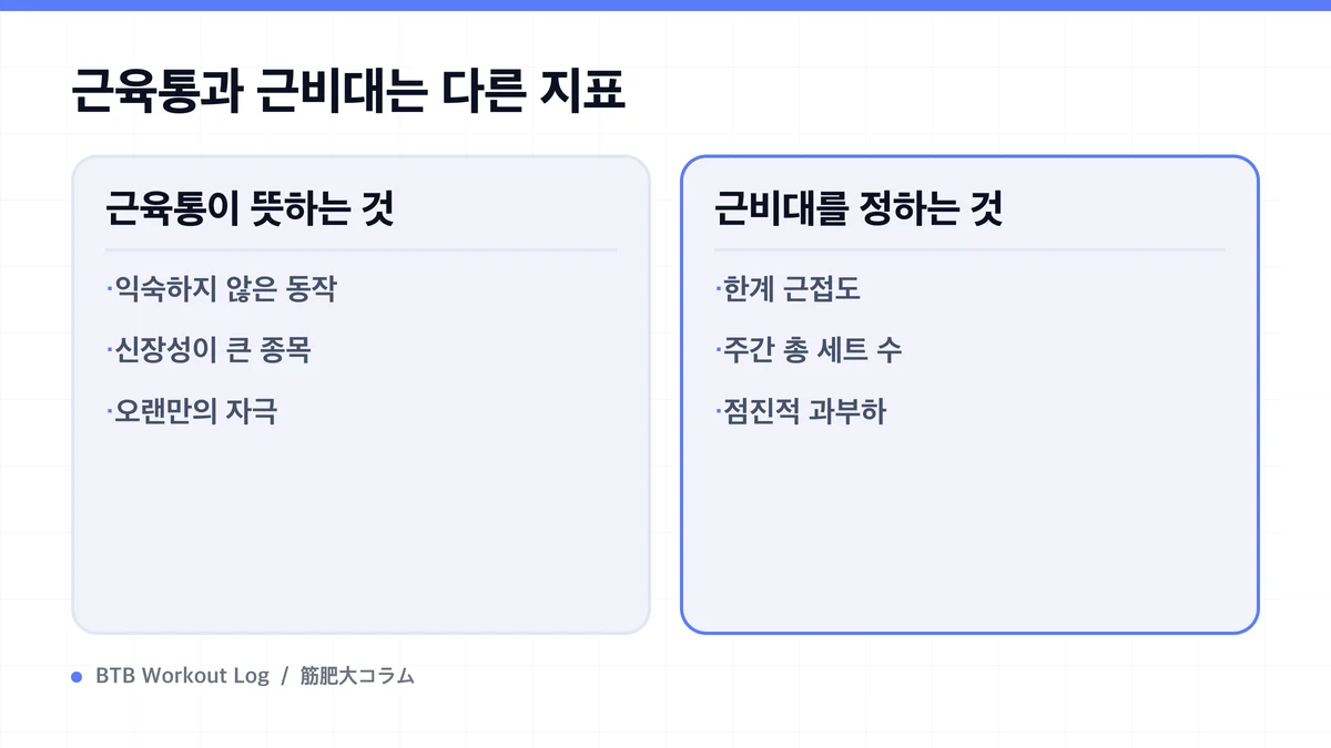 Diagram: 근육통과 근비대는 다른 지표