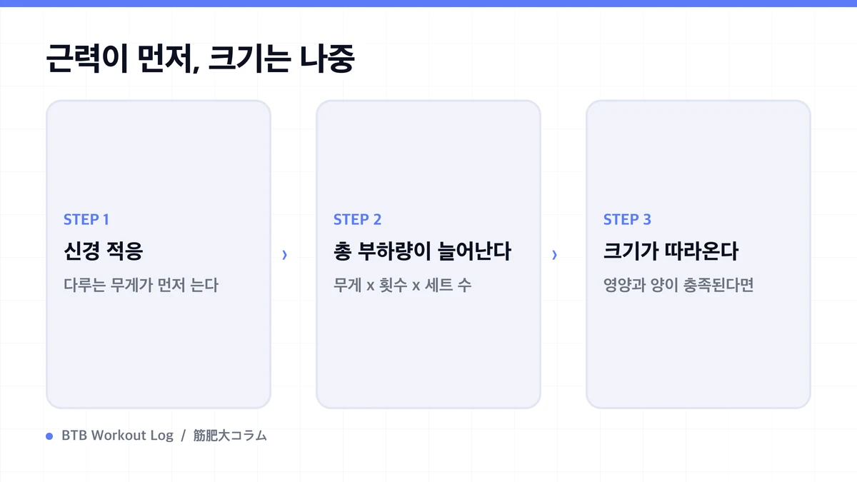Diagram: 근력이 먼저, 크기는 나중