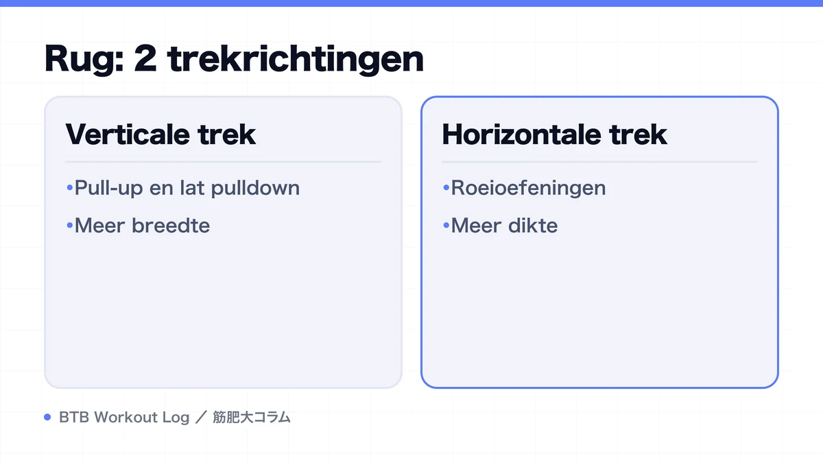Diagram: Rug: 2 trekrichtingen