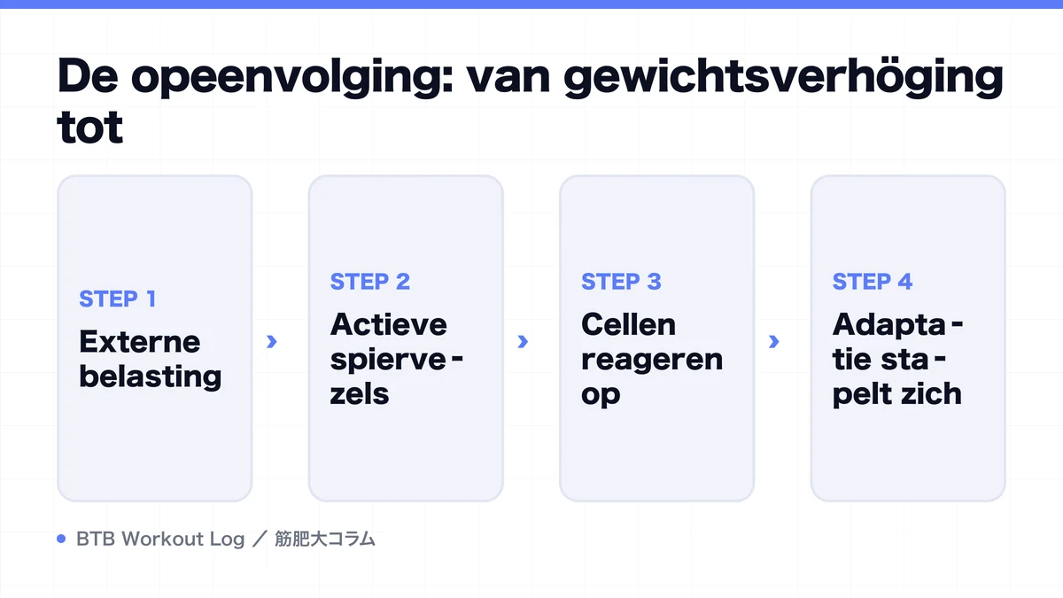 Diagram: De opeenvolging: van gewichtsverhöging tot