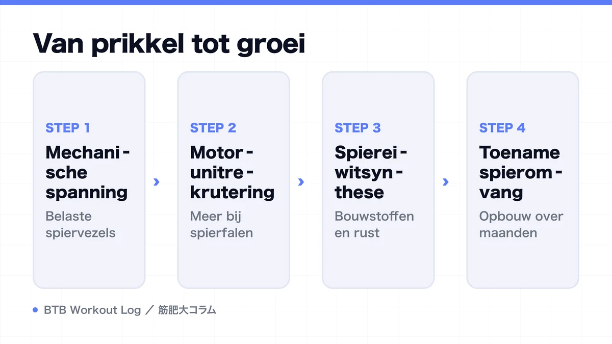 Diagram: Van prikkel tot groei