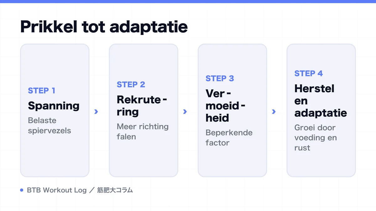 Diagram: Prikkel tot adaptatie