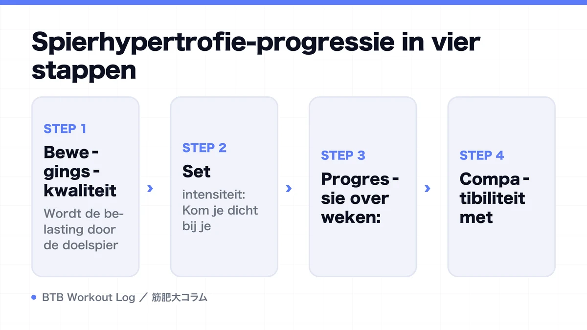Diagram: Spierhypertrofie-progressie in vier stappen