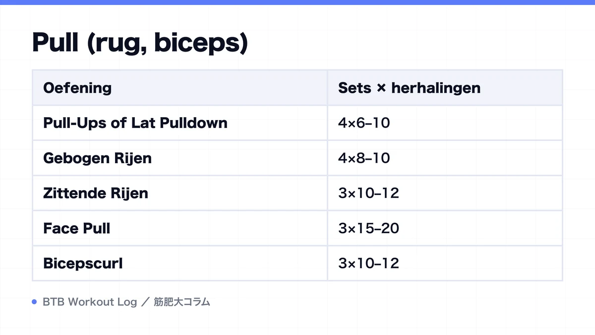 Diagram: Pull (rug, biceps)
