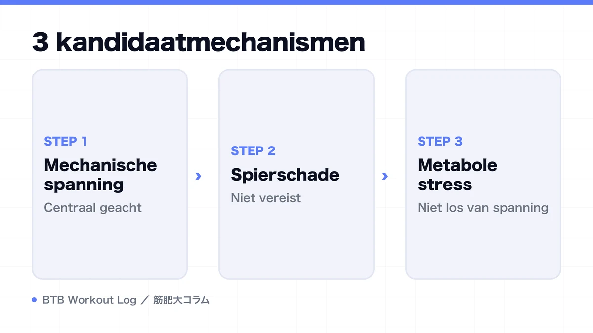 Diagram: 3 kandidaatmechanismen