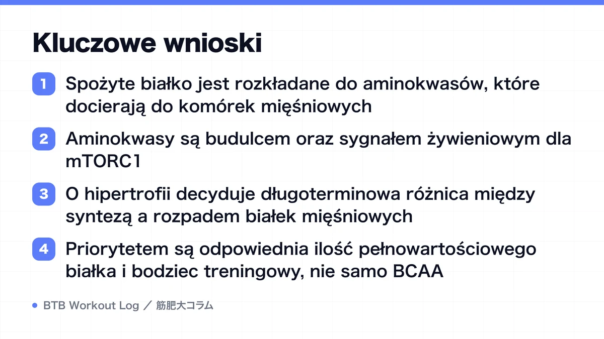 Diagram: Kluczowe wnioski