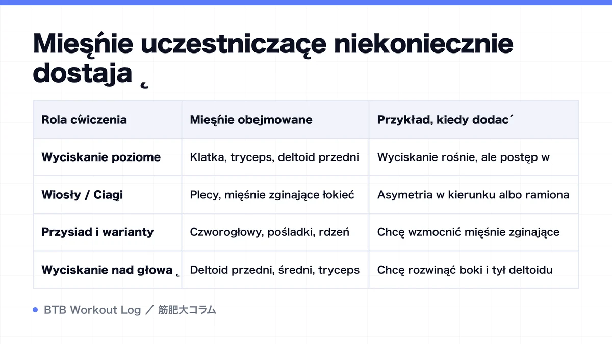 Diagram: Mięśnie uczestniczące niekoniecznie dostają