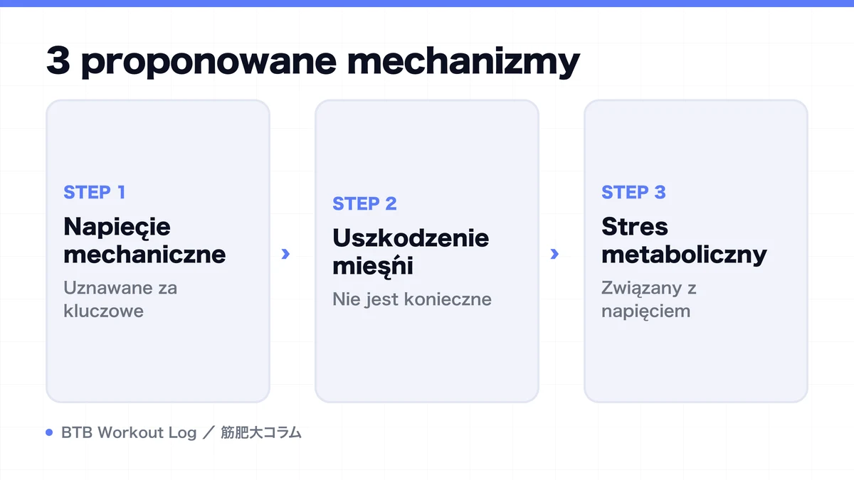 Diagram: 3 proponowane mechanizmy
