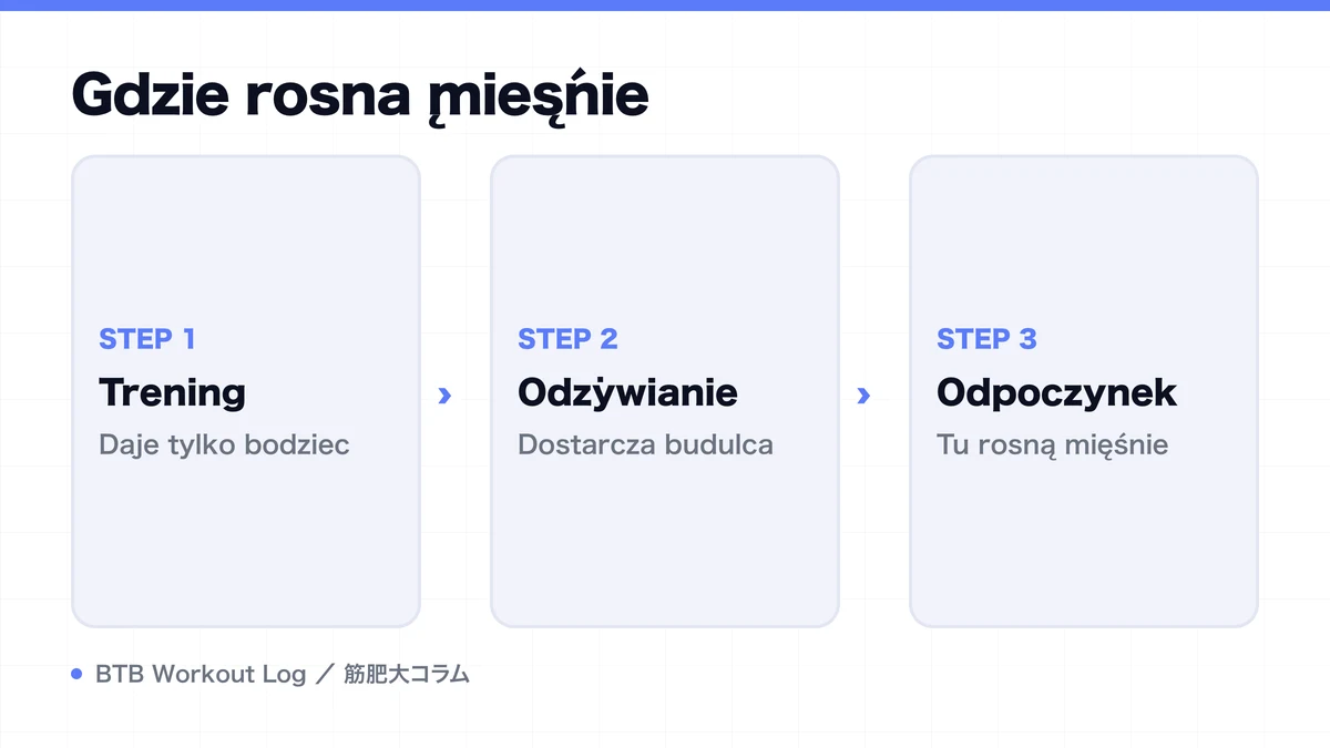Diagram: Gdzie rosną mięśnie