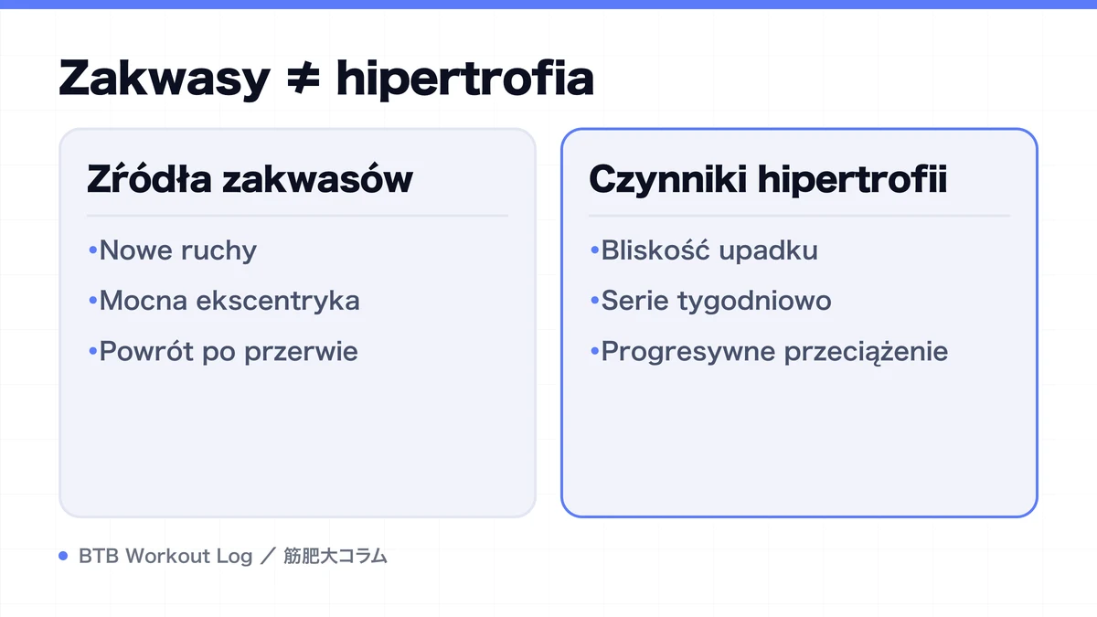 Diagram: Zakwasy ≠ hipertrofia