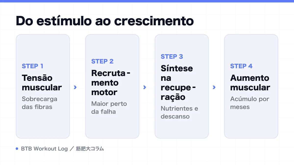 Diagram: Do estímulo ao crescimento