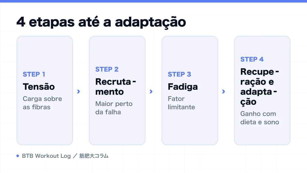 Diagram: 4 etapas até a adaptação