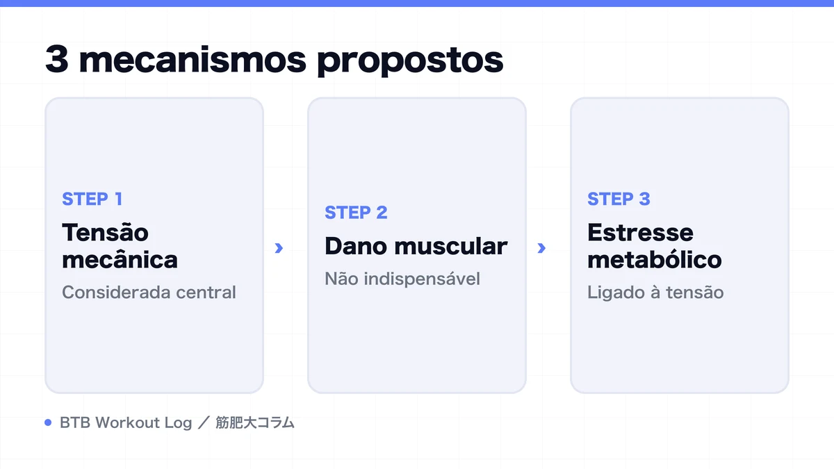 Diagram: 3 mecanismos propostos