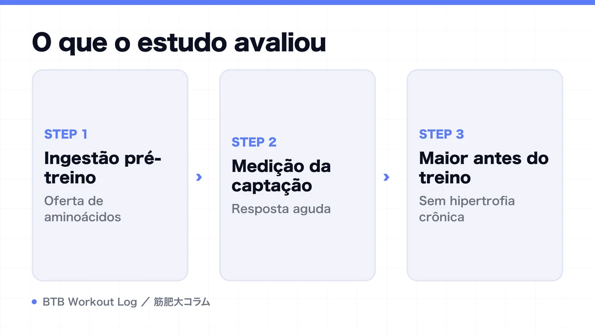 Diagram: O que o estudo avaliou