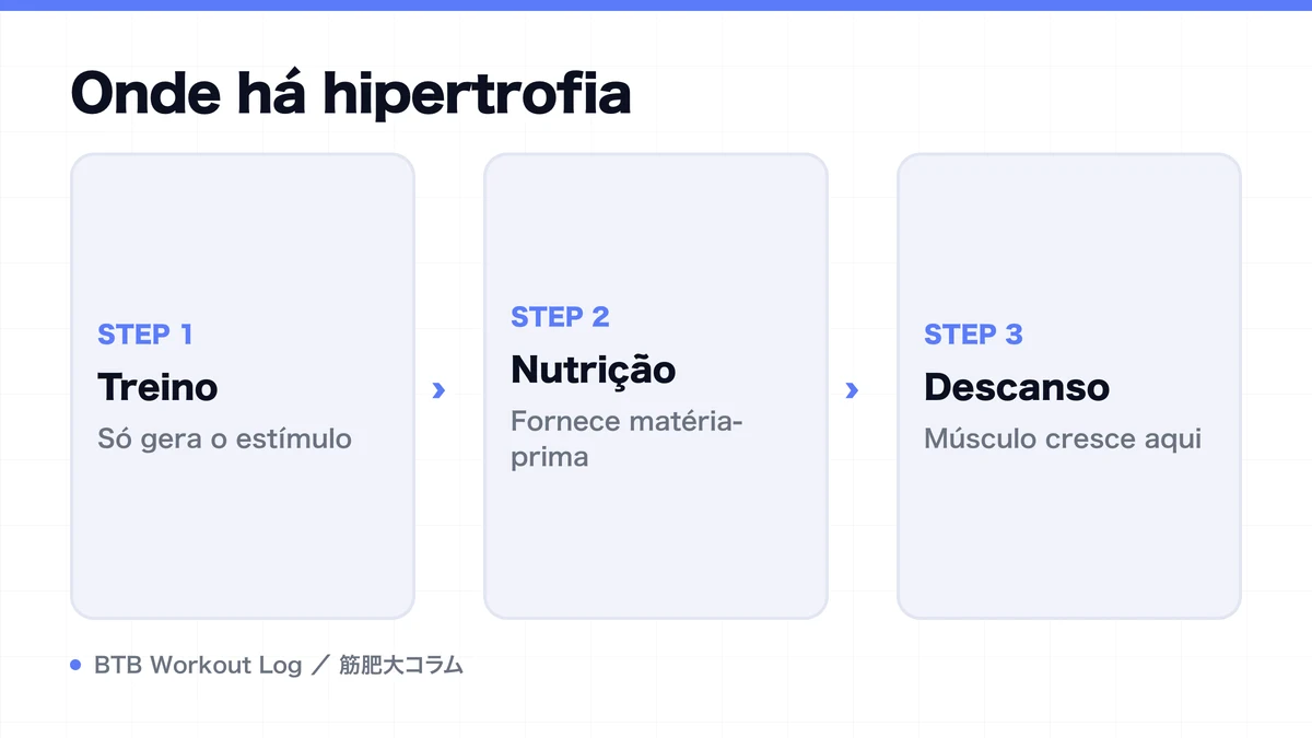 Diagram: Onde há hipertrofia