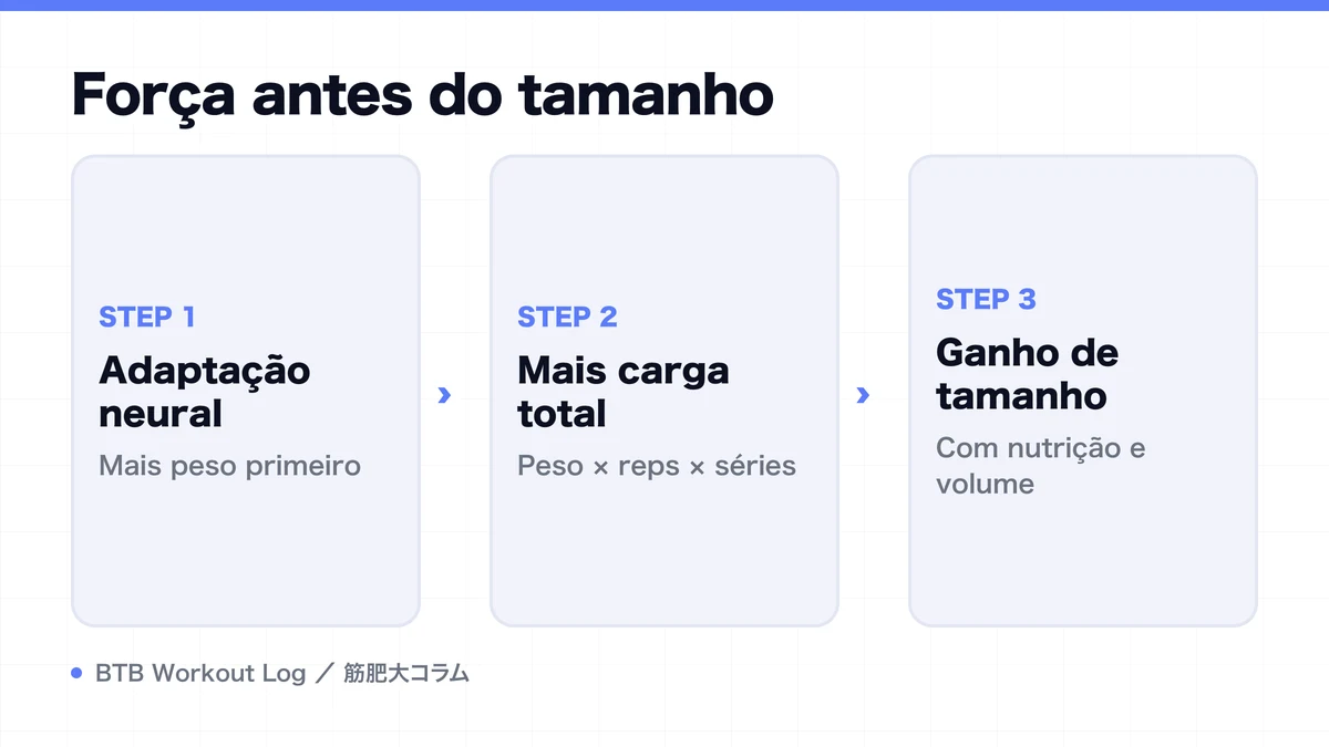 Diagram: Força antes do tamanho