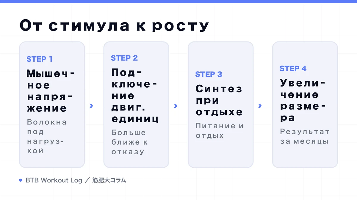 Diagram: От стимула к росту