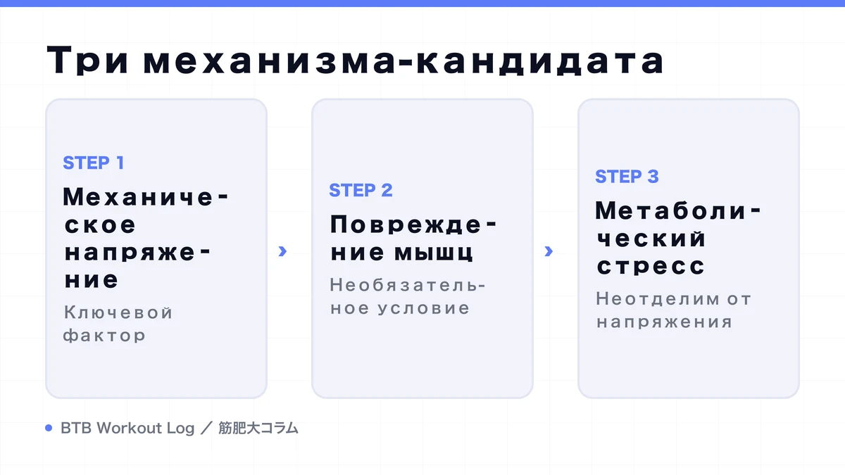 Diagram: Три механизма-кандидата