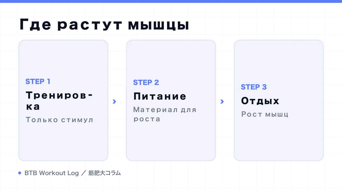 Diagram: Где растут мышцы