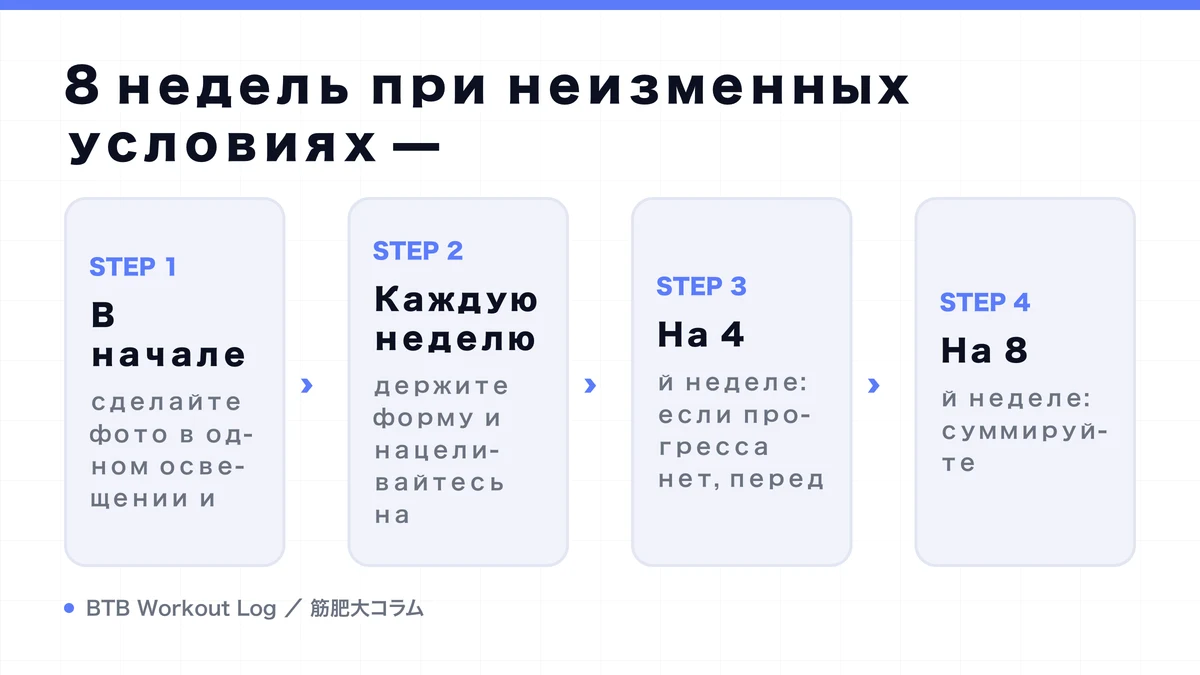 Diagram: 8 недель при неизменных условиях —